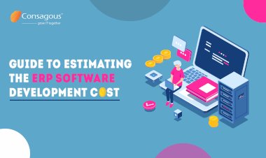 Guide to Estimating the ERP Software Development Cost