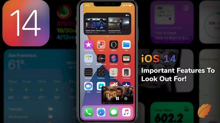 iOS 14 - Important Features to Look Out For!