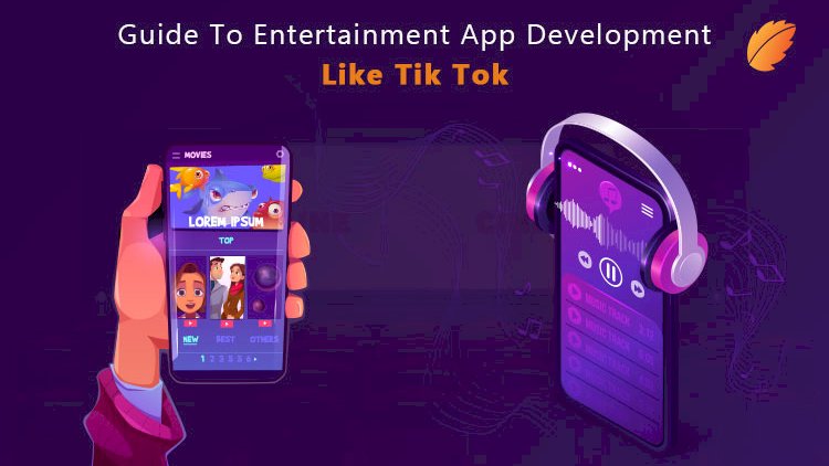 Guide To Entertainment App Development Like TikTok